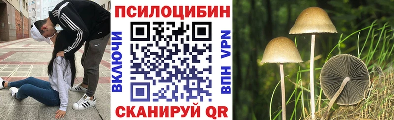 купить   Якутск  Псилоцибиновые грибы MAGIC MUSHROOMS 