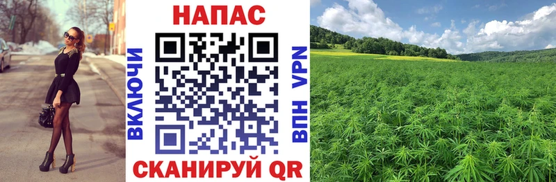 Бошки Шишки VHQ KRAKEN зеркало Якутск